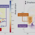 Robots showing human emotions