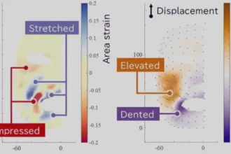 Robots showing human emotions